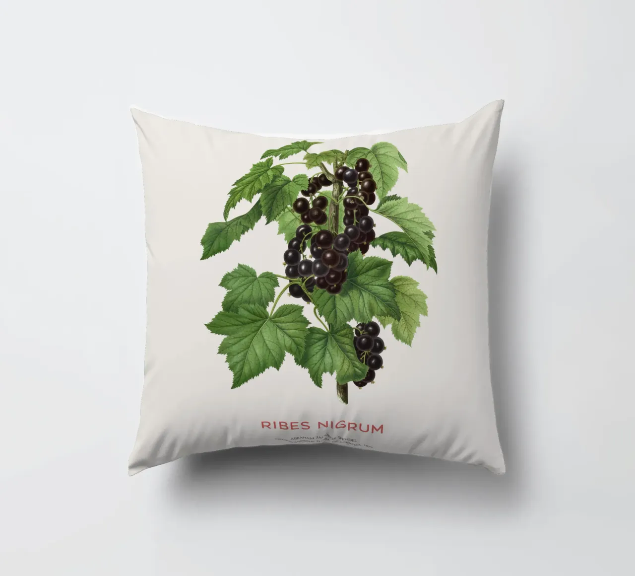 Ribes nero o Ribes nigrum cuscino da Vintagrafica
