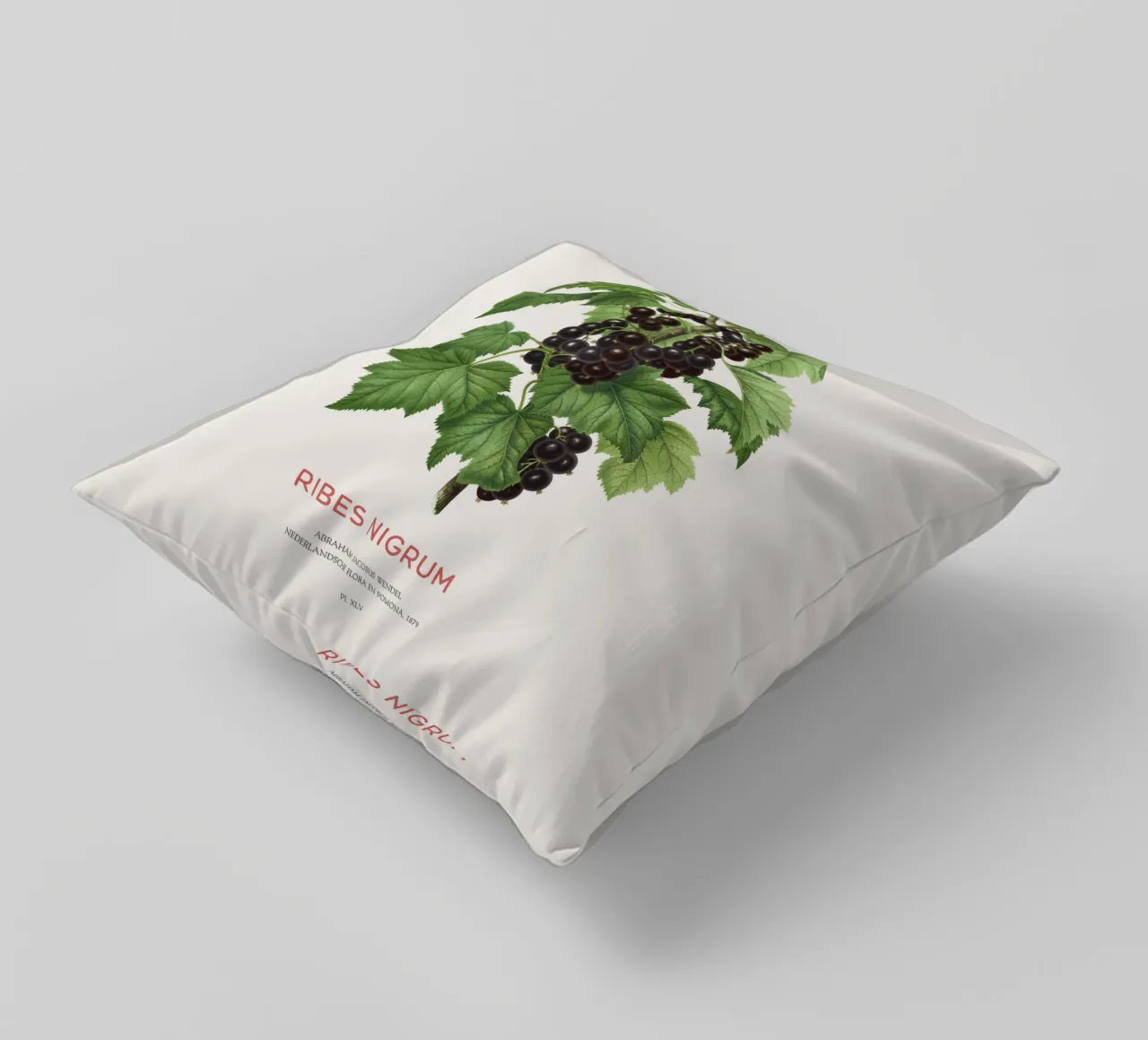 Ribes nero o Ribes nigrum cuscino da Vintagrafica