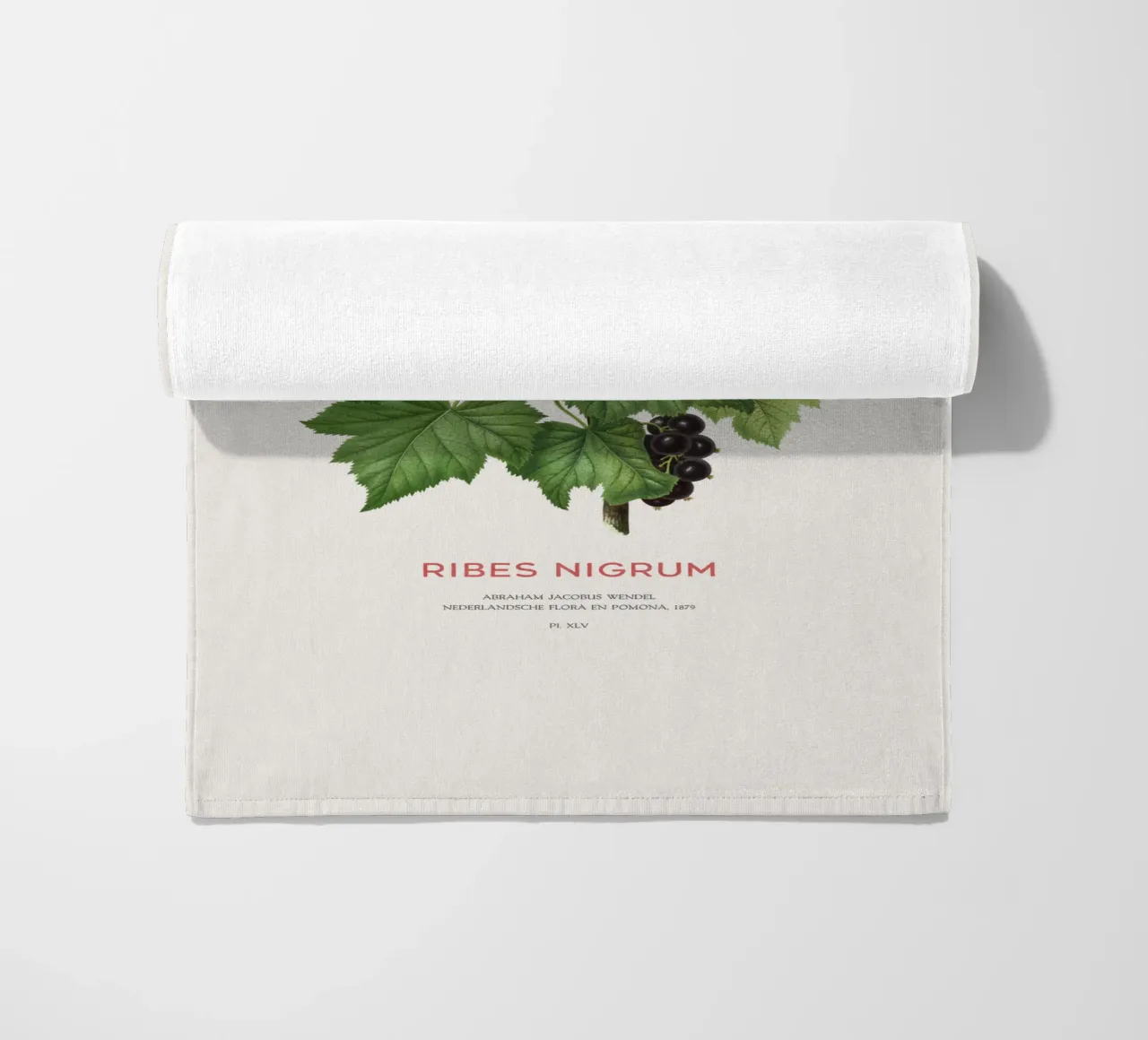 Ribes nero o Ribes nigrum telo mare da Vintagrafica