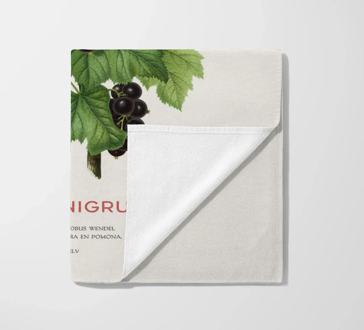 Ribes nero o Ribes nigrum telo mare da Vintagrafica
