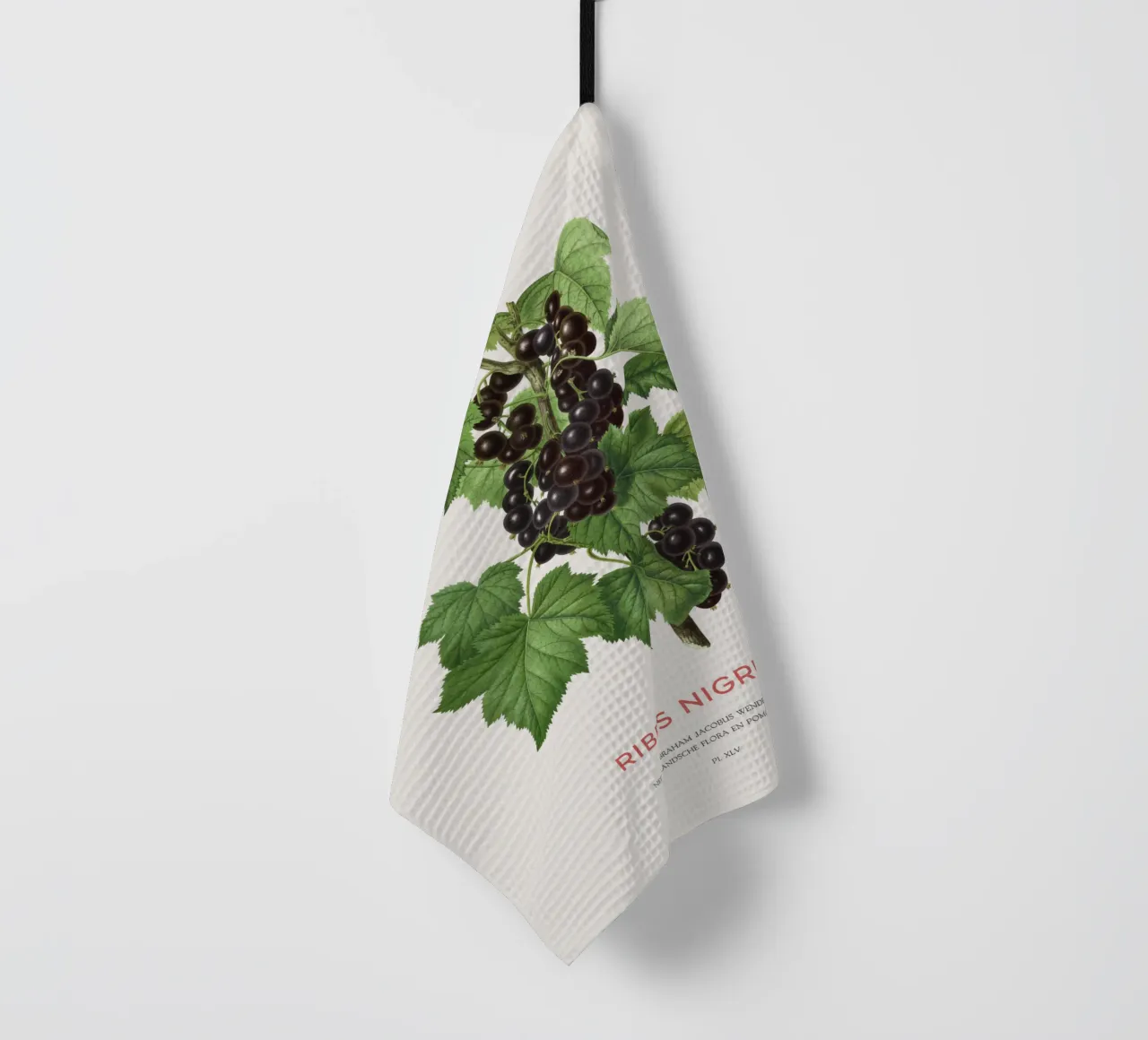 Ribes nero o Ribes nigrum canovaccio da cucina da Vintagrafica