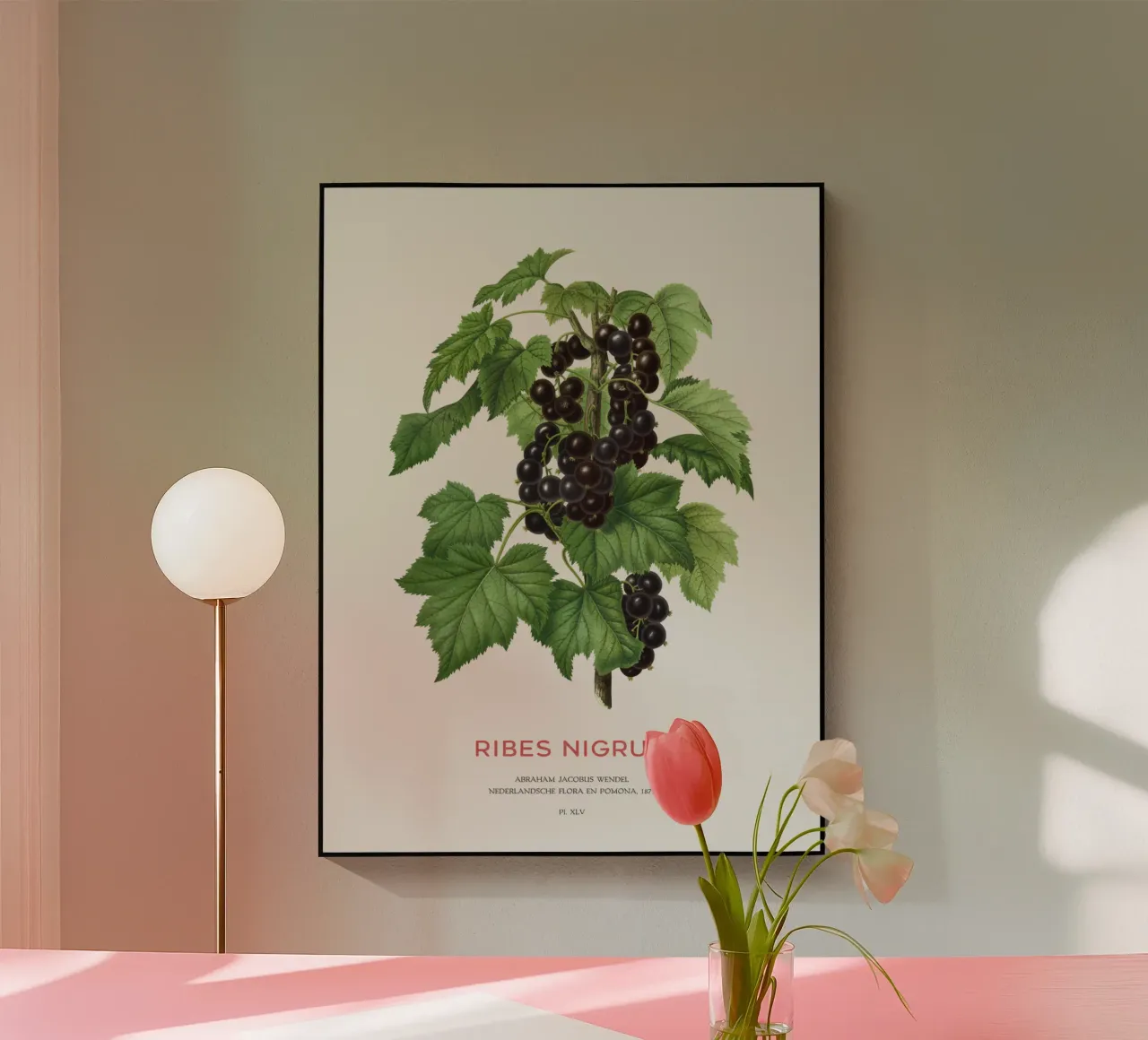 Ribes nero o Ribes nigrum plexiglass da Vintagrafica