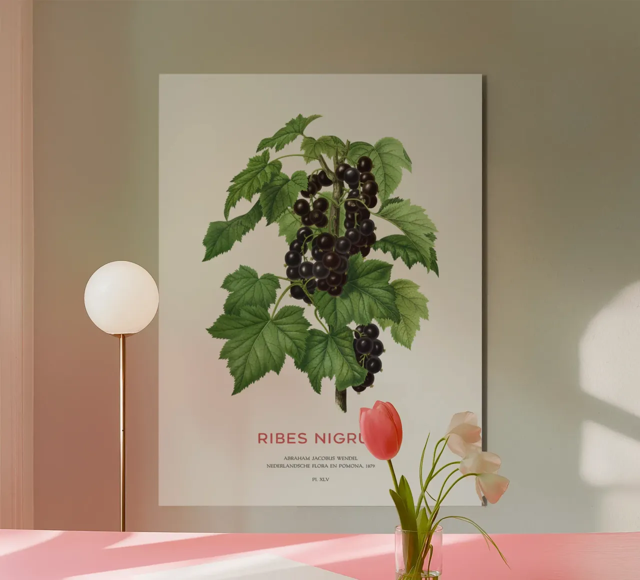 Ribes nero o Ribes nigrum alluminio dibond da Vintagrafica