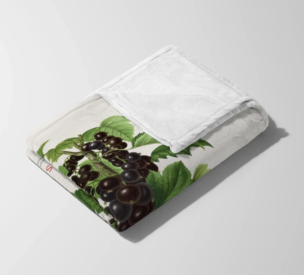Ribes nero o Ribes nigrum coperta in pile da Vintagrafica