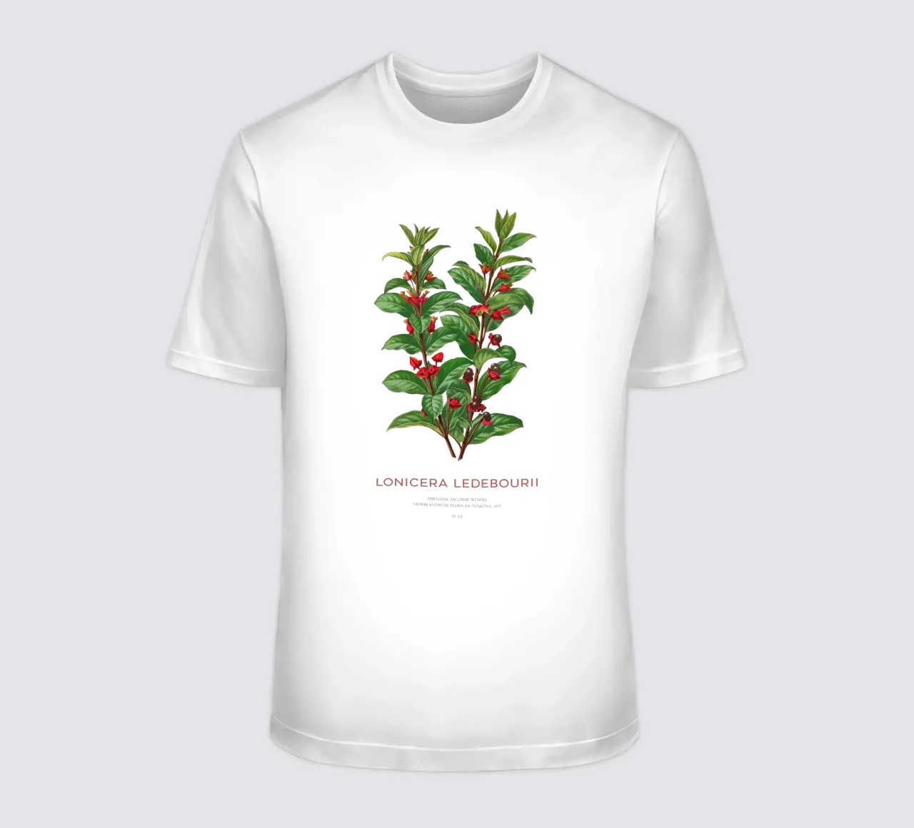 Caprifoglio californiano o Lonicera ledebourii t-shirt da Vintagrafica