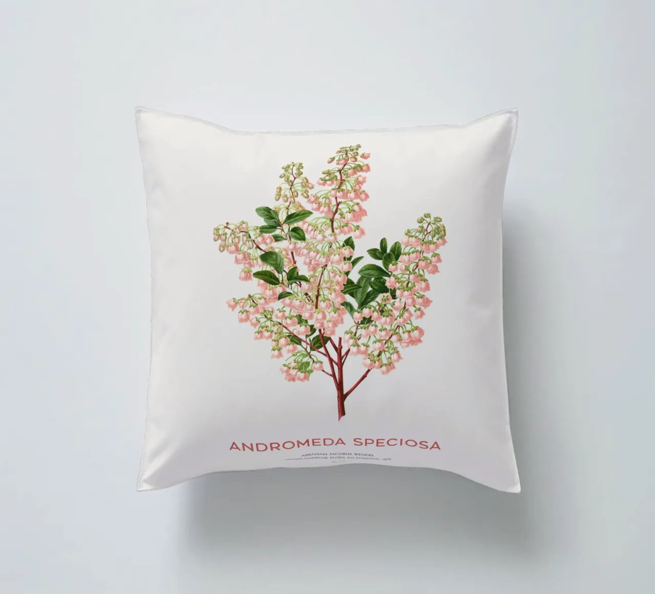 Honeycup o Andromeda speciosa cuscino da Vintagrafica