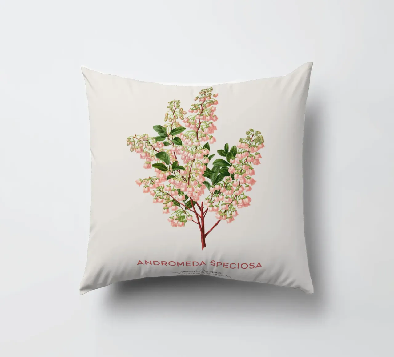 Honeycup o Andromeda speciosa cuscino da Vintagrafica