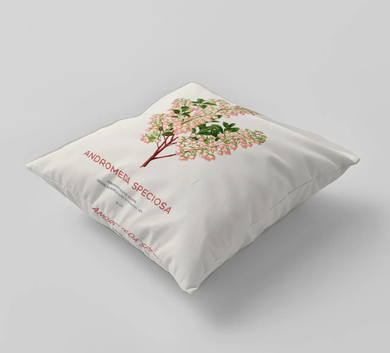 Honeycup o Andromeda speciosa cuscino da Vintagrafica
