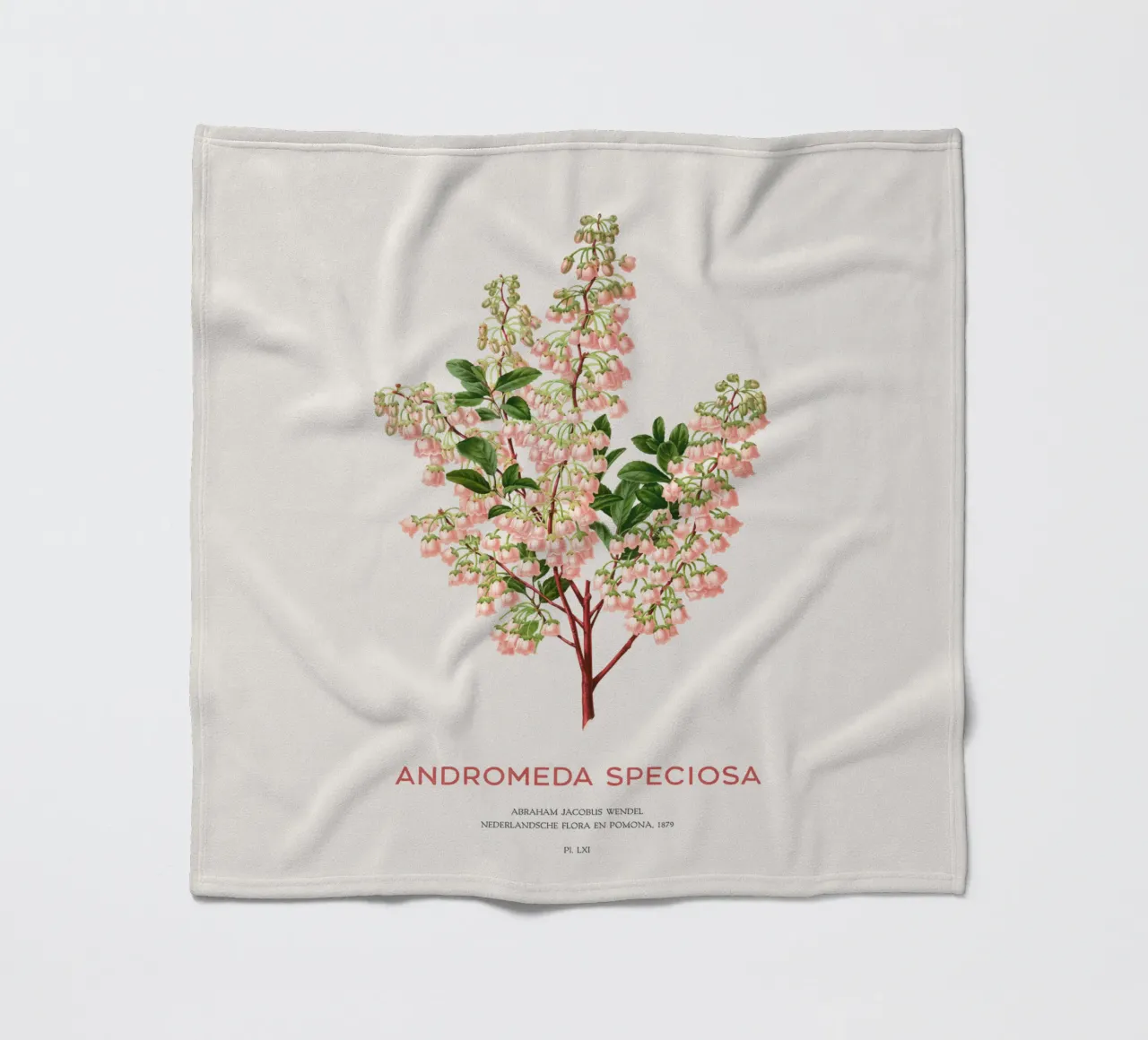 Honeycup o Andromeda speciosa coperta in pile da Vintagrafica