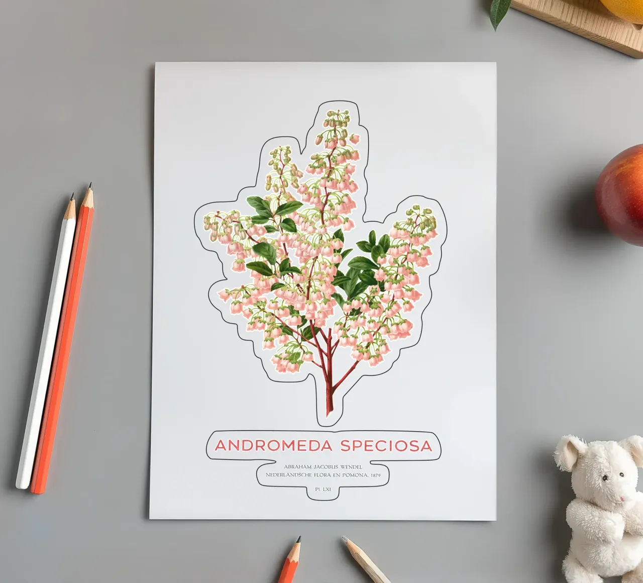 Honeycup or Andromeda speciosa sticker sheet by Vintagrafica