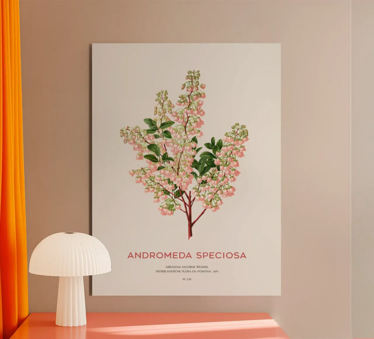 Honigblume oder Andromeda speciosa Forex-Platte von Vintagrafica