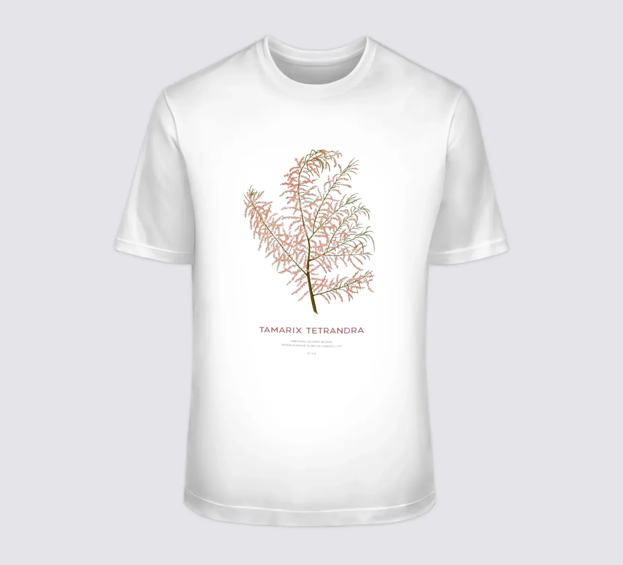 Cedro salino o Tamarix tetrandra t-shirt da Vintagrafica