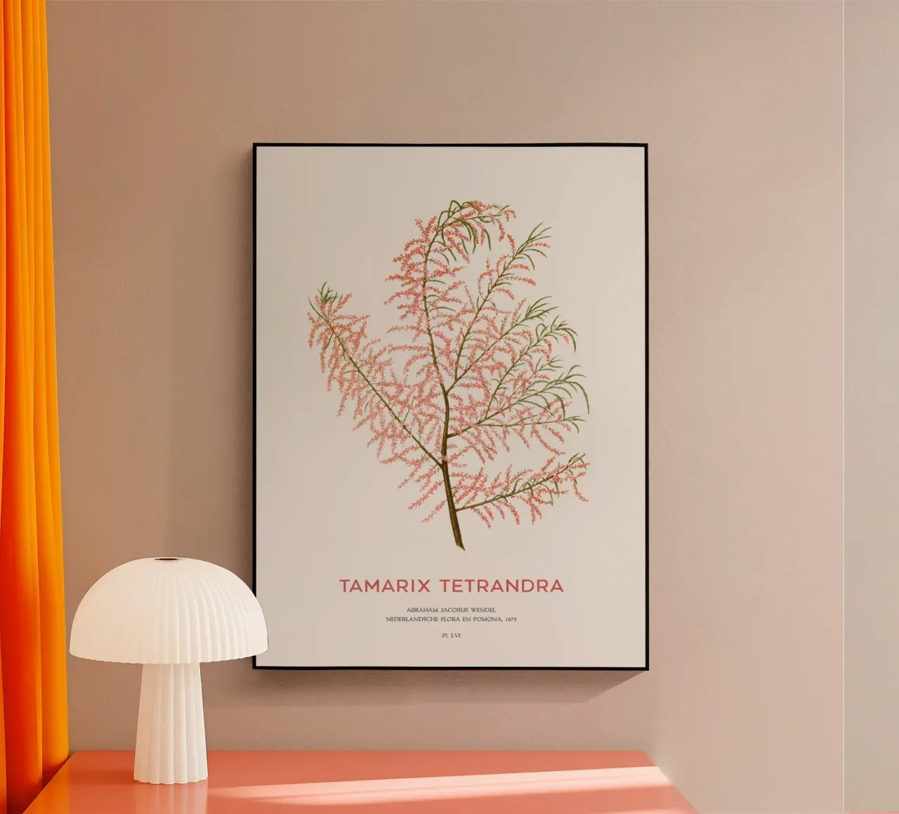 Cedro salino o Tamarix tetrandra plexiglass da Vintagrafica