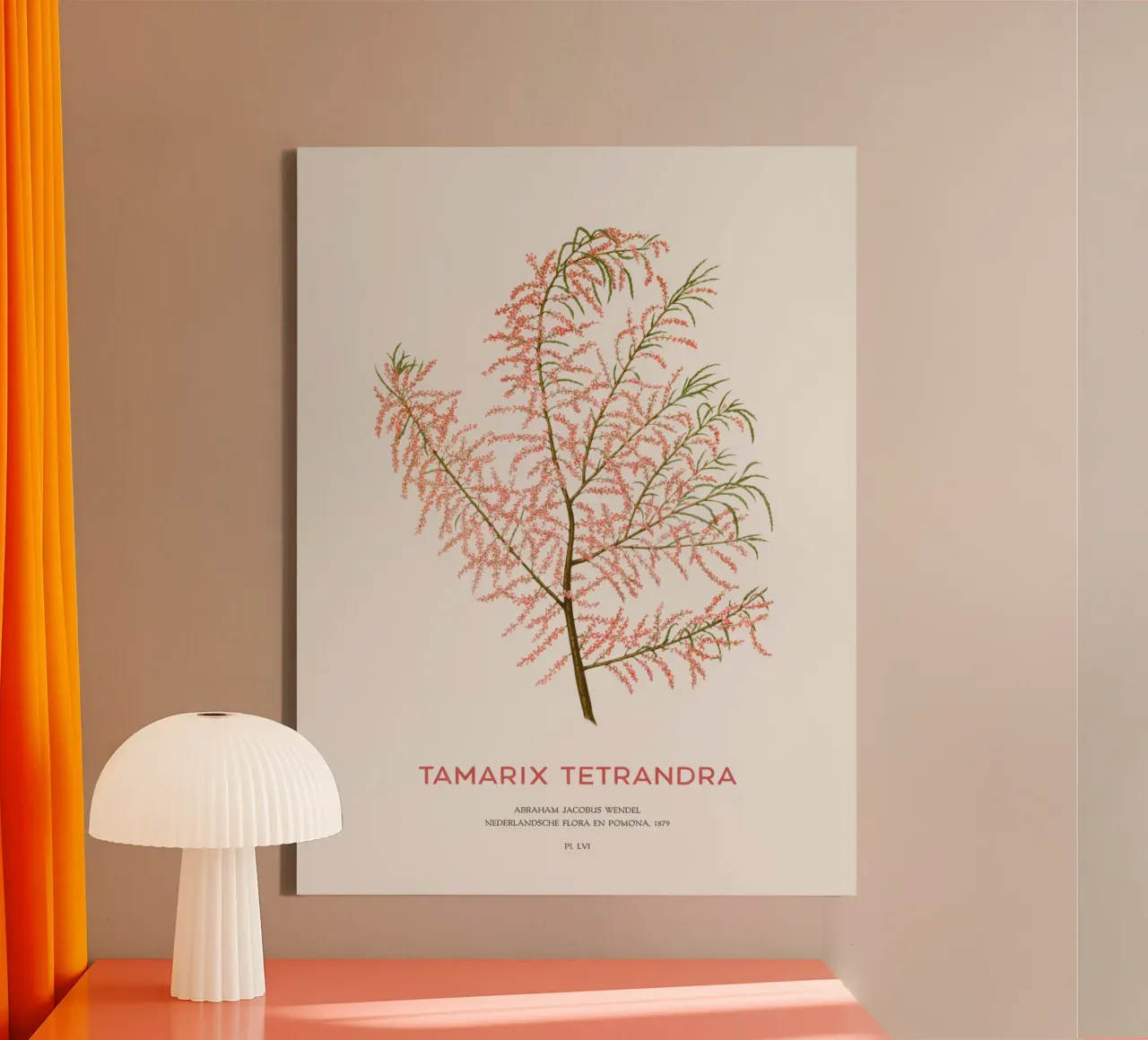Zoutceder of Tamarix tetrandra canvas van Vintagrafica