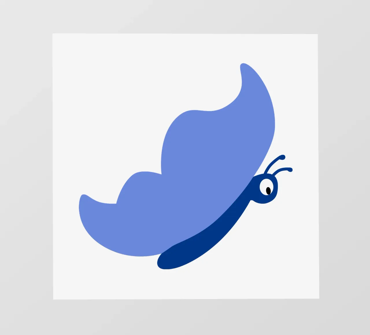 Farfalla telo in pvc da C.WILL