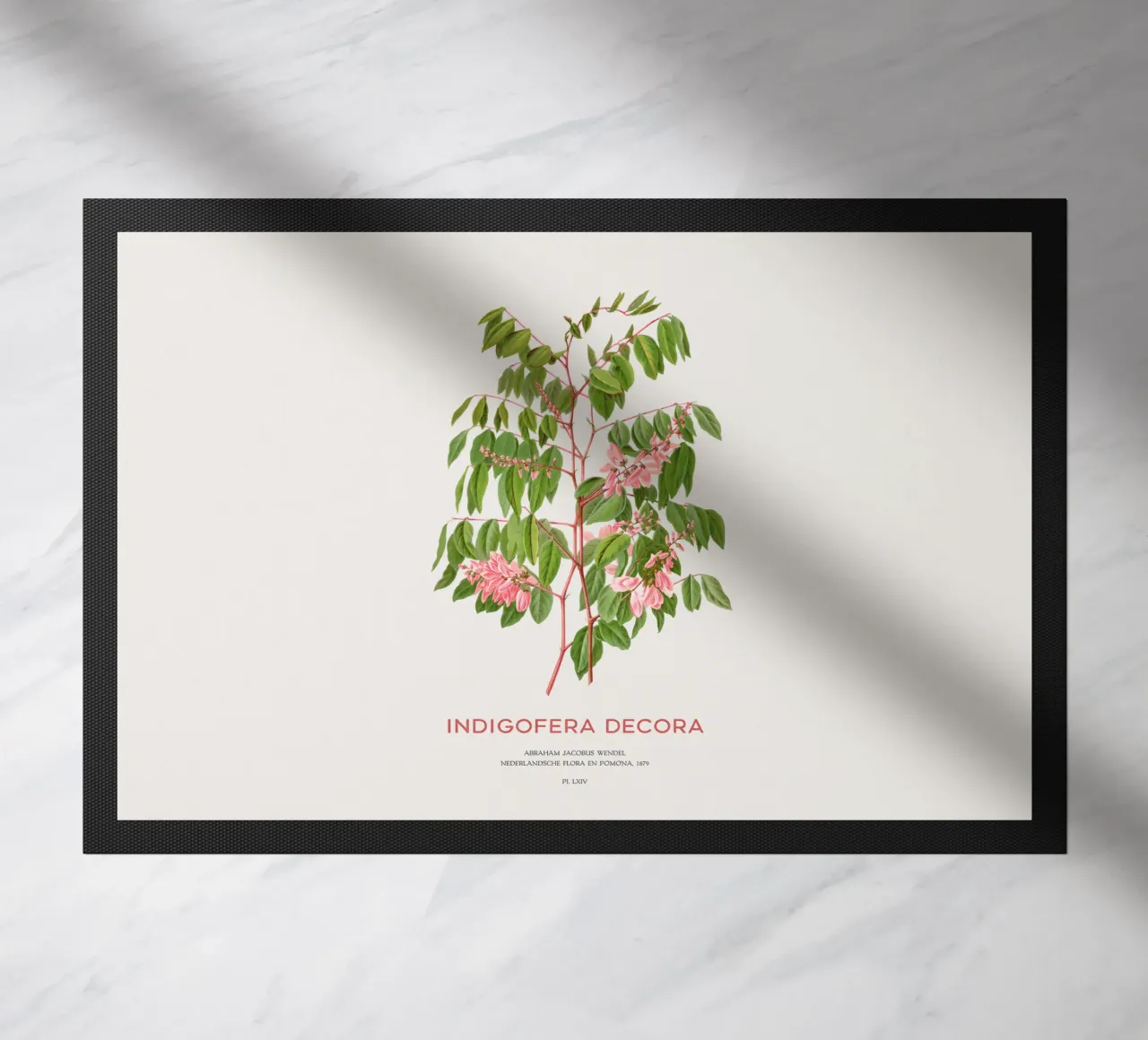 Glicine estivo o Indigofera decora zerbino da Vintagrafica