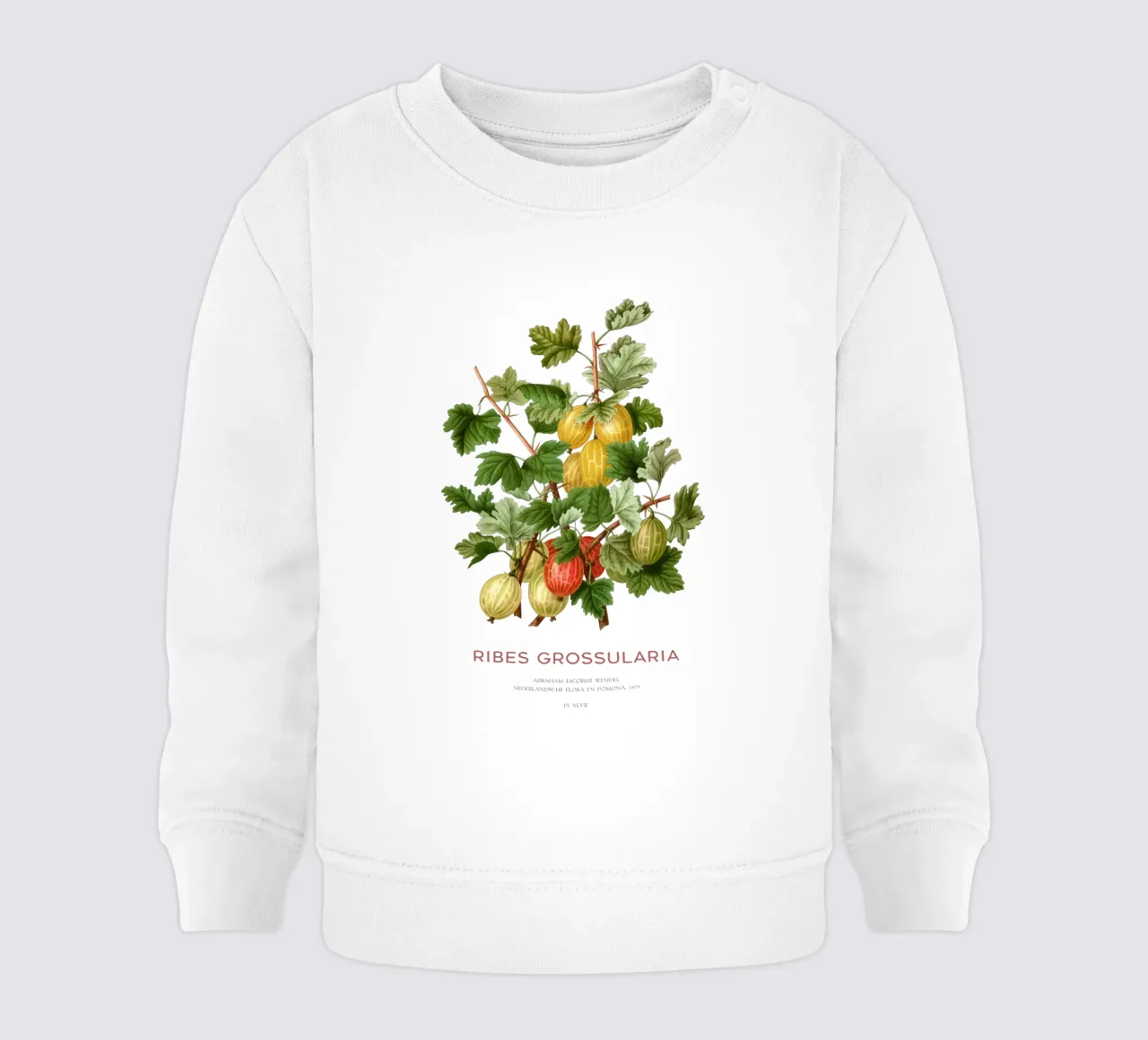 Uva spina europea o Ribes grossularia felpa neonato da Vintagrafica
