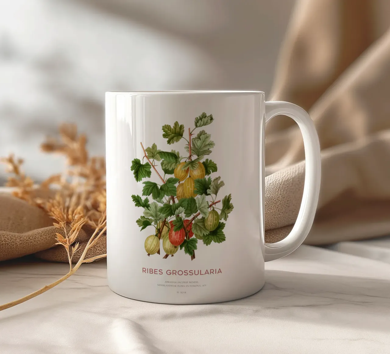 Uva spina europea o Ribes grossularia tazza in ceramica da Vintagrafica