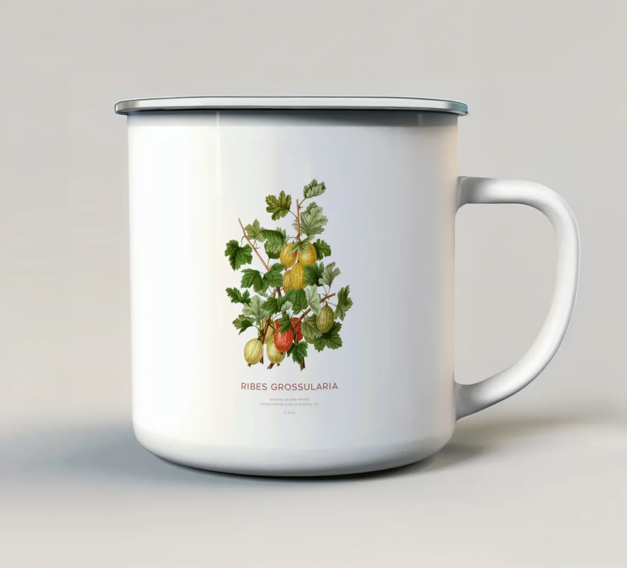 Uva spina europea o Ribes grossularia tazza in smalto da Vintagrafica