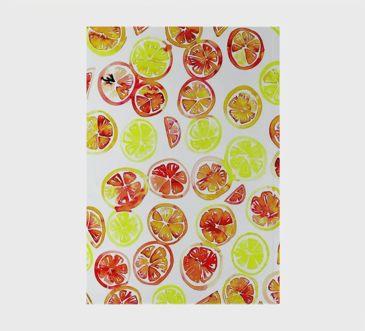 Orange Slice carnet de Amy Sia
