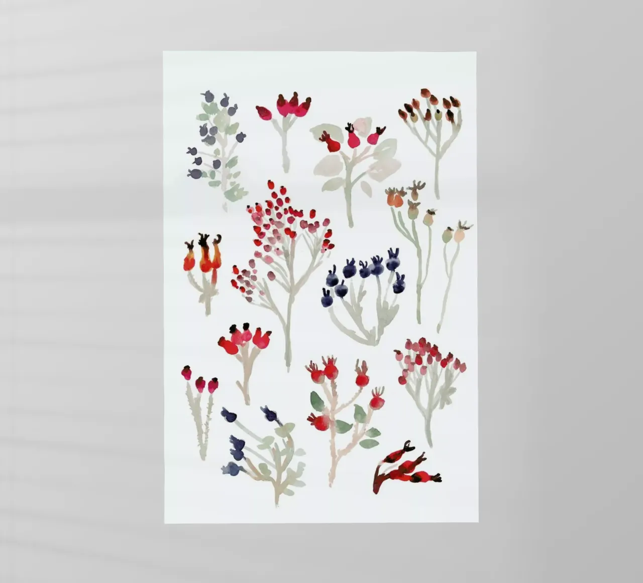 Berries pellicola backlit da Farina Kuklinski