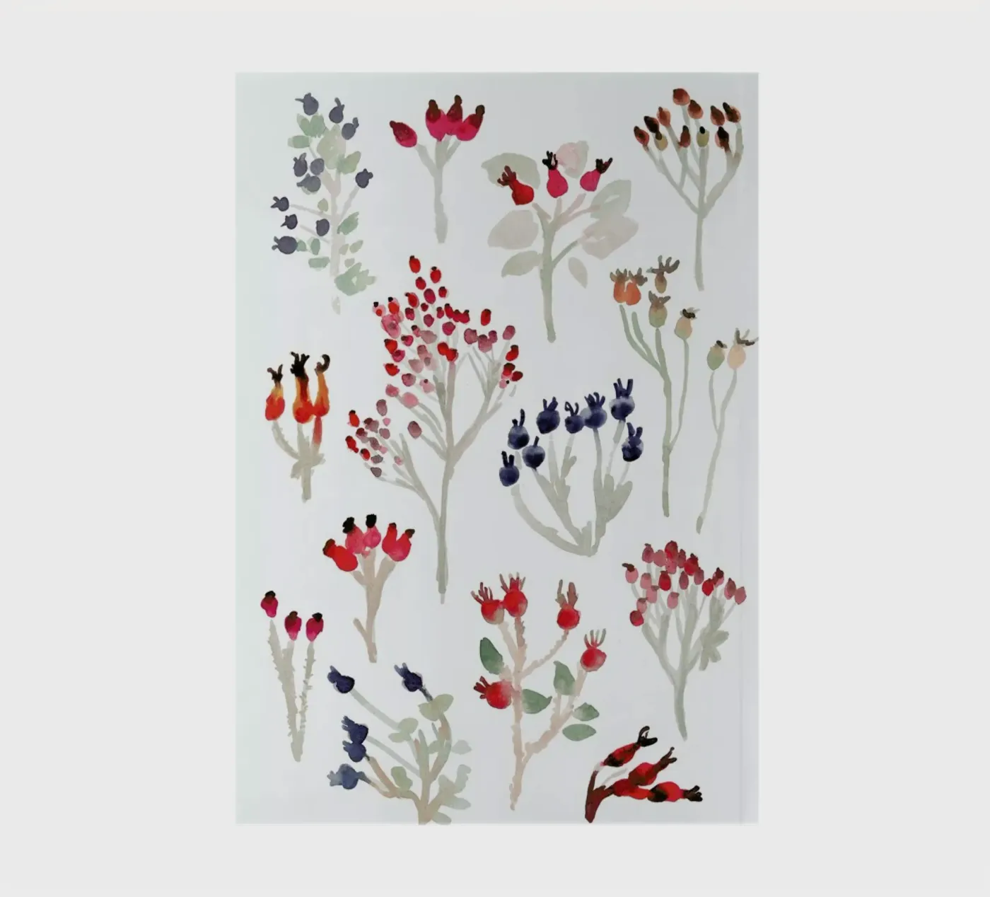 Berries notebook by Farina Kuklinski