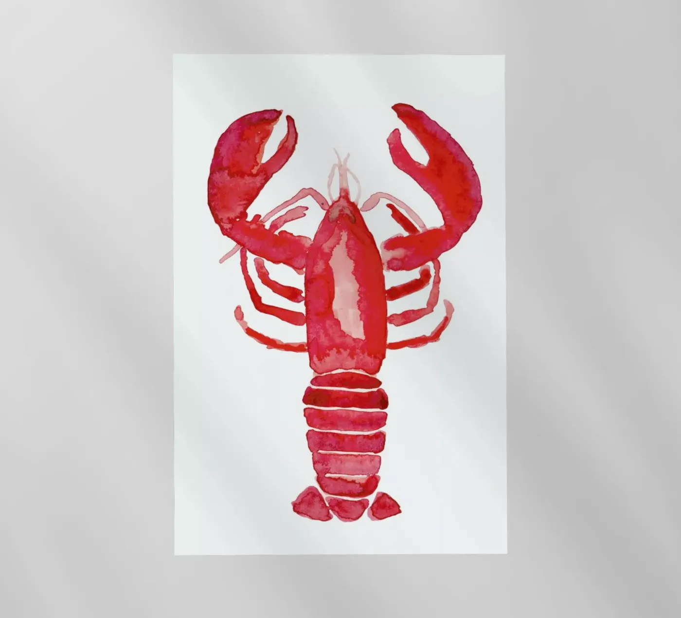 Lobster pellicola backlit da Farina Kuklinski