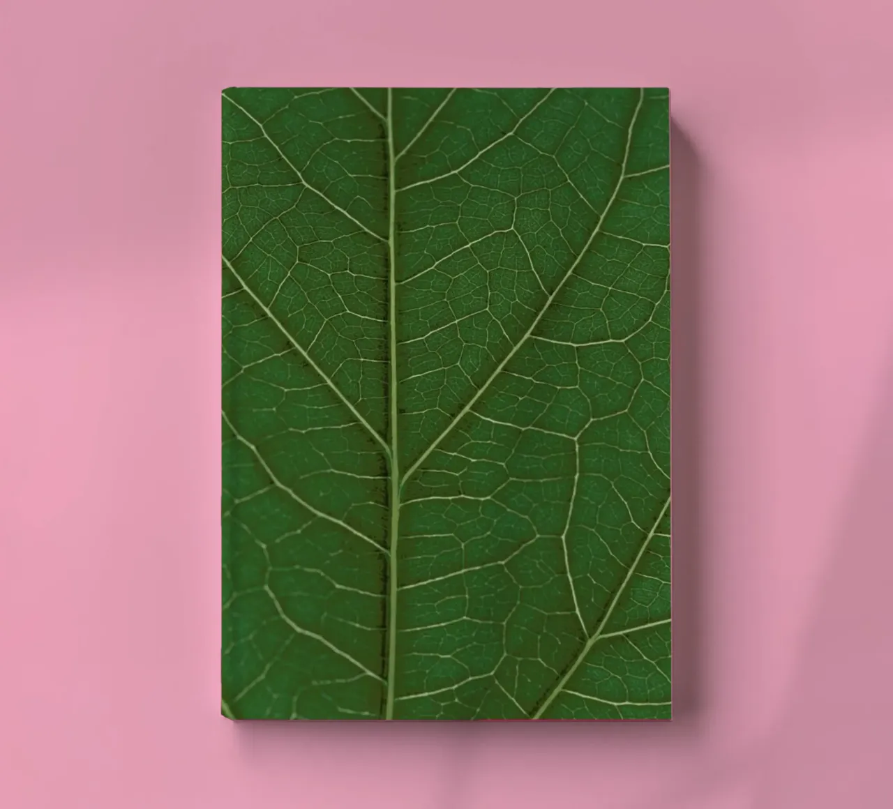 Look Real Close notebook by Studio Nahili