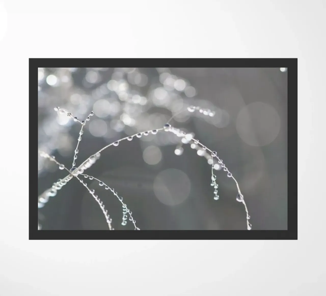 That Moment zerbino da Studio Nahili