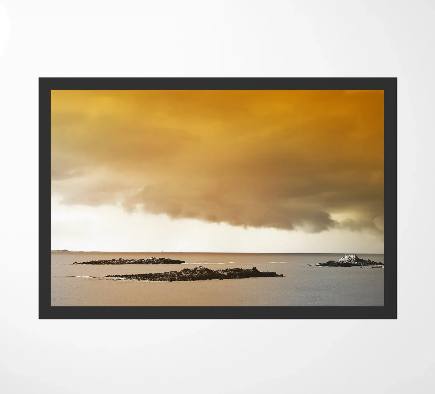 FAA193 zerbino da Thierry vobmann photography