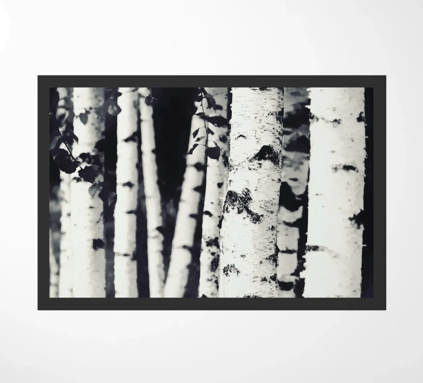 Birches Fußmatte von Monika Strigel
