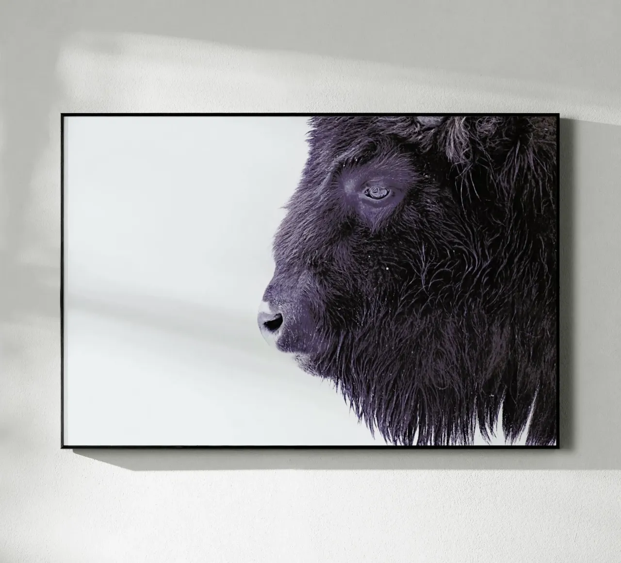 Black Buffalo plexiglass da Monika Strigel