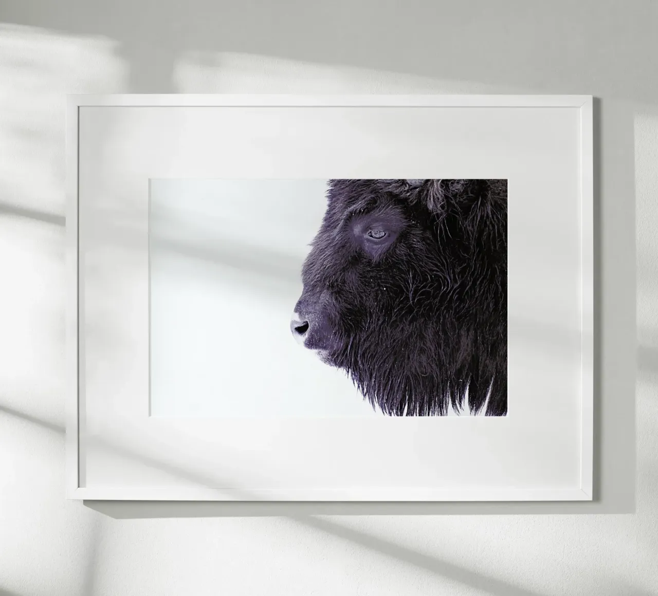 Black Buffalo poster con telaio in plastica da Monika Strigel