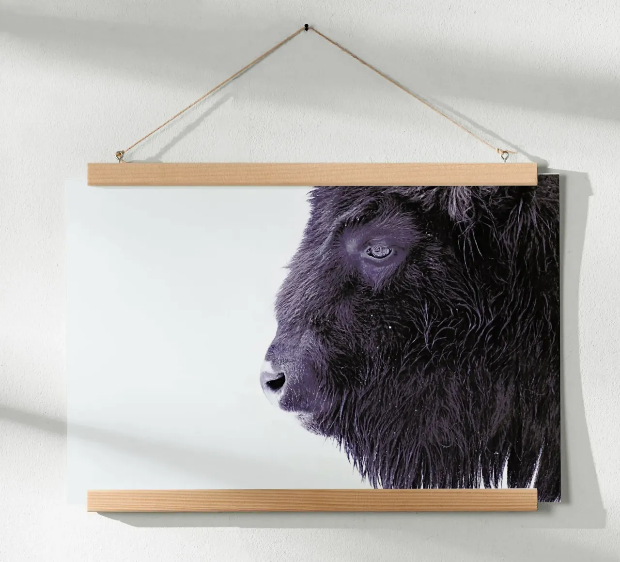 Black Buffalo poster con telaio in plastica da Monika Strigel