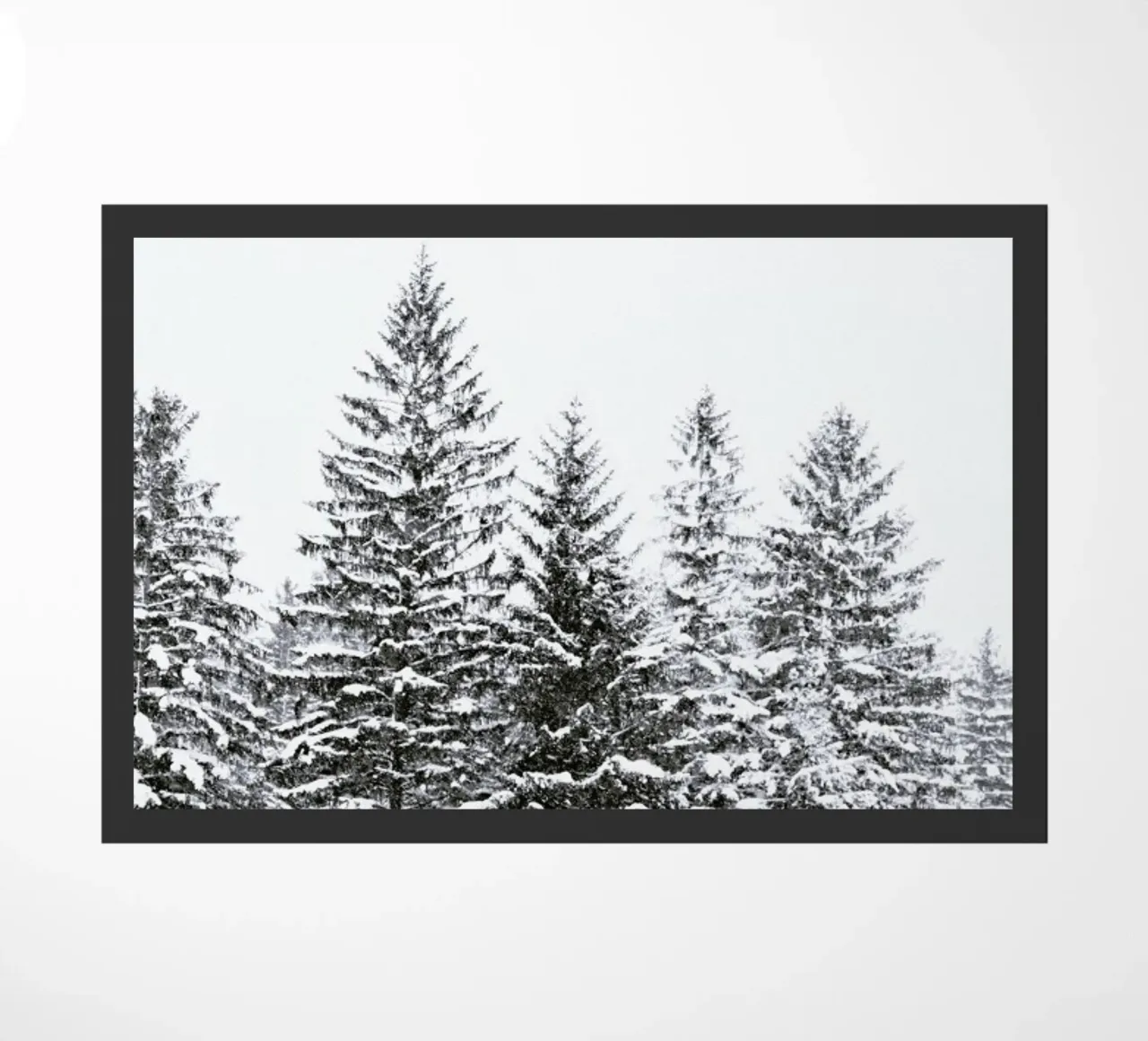 Black Wintertrees zerbino da Monika Strigel