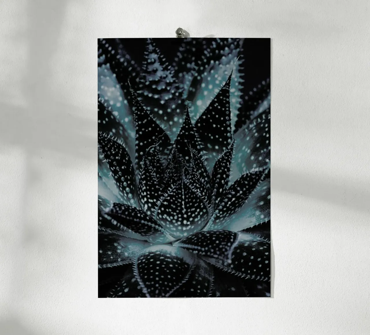 Dark Plants 3 Succulent poster con telaio in legno da Monika Strigel