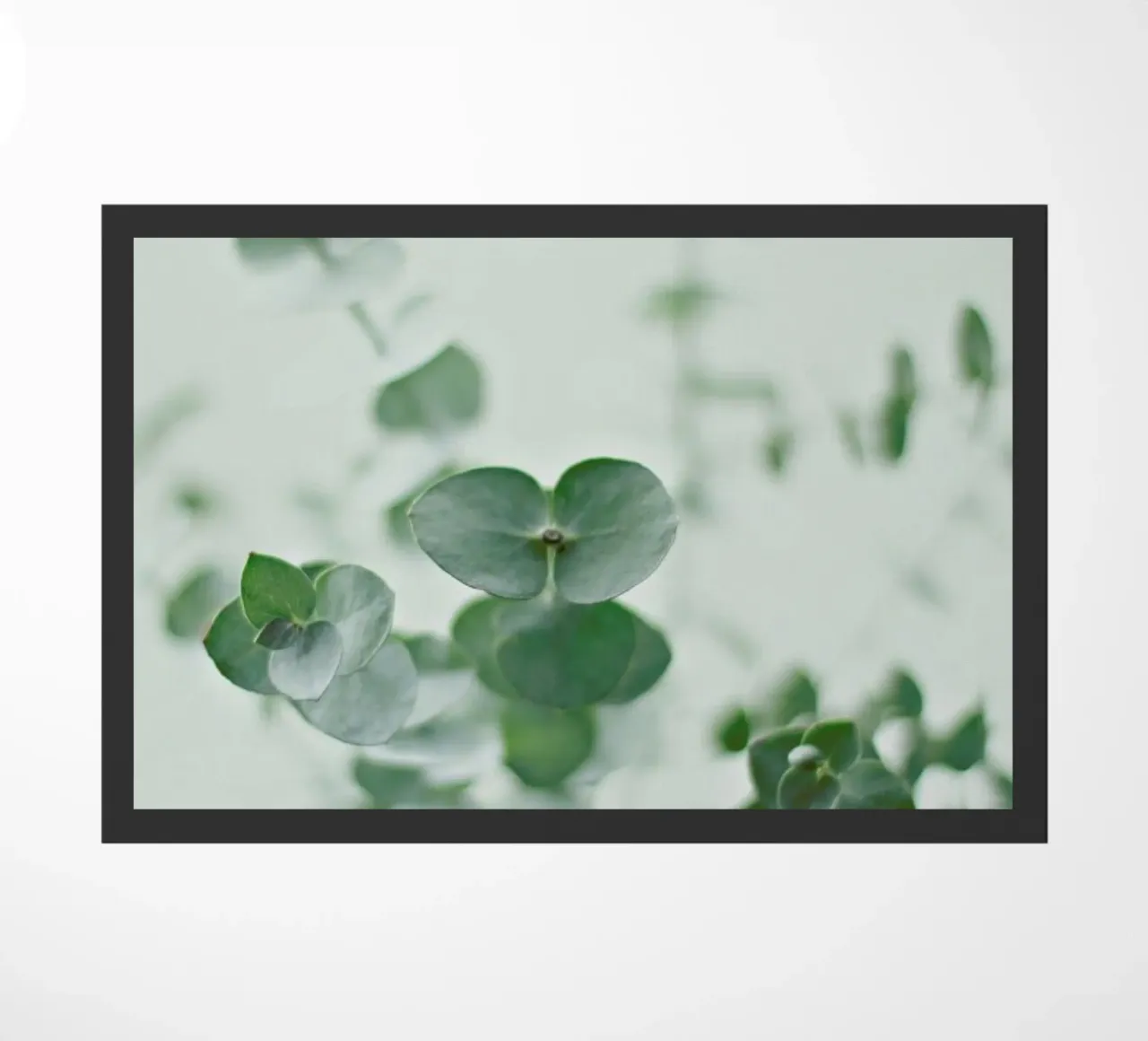 Eucalyptus Green 2 zerbino da Monika Strigel