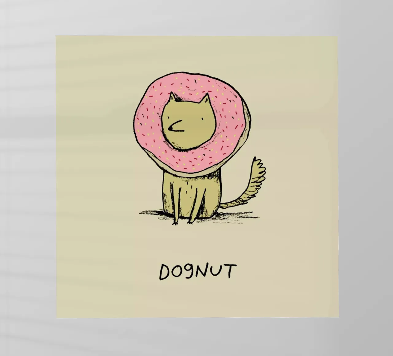 Dognut pellicola backlit da Sophie Corrigan