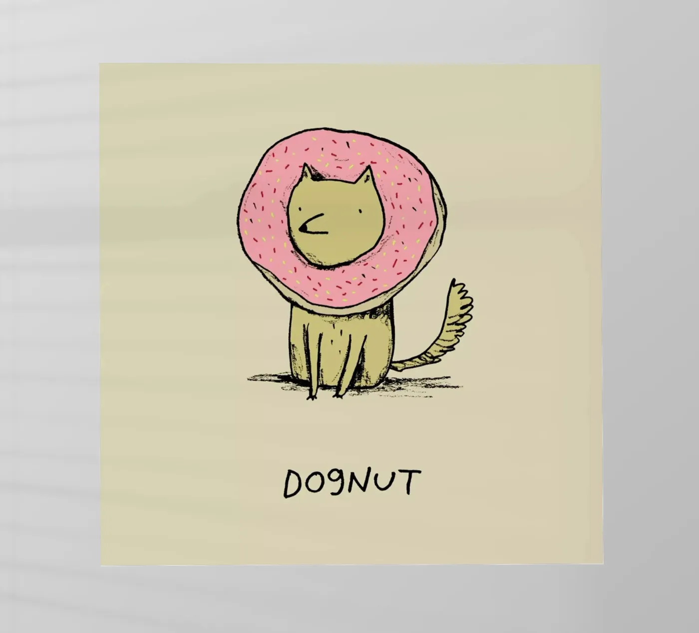 Dognut pellicola backlit da Sophie Corrigan