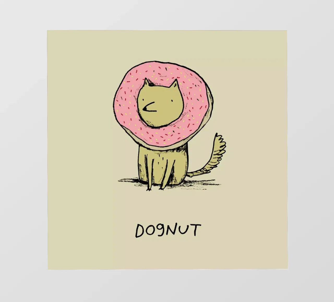 Dognut pellicola backlit da Sophie Corrigan
