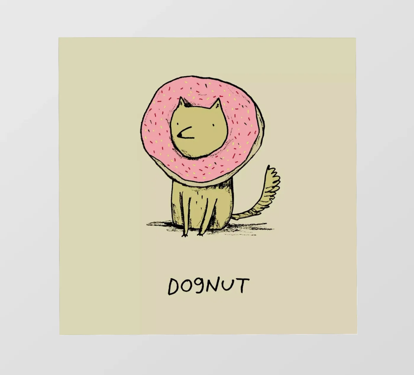 Dognut pellicola backlit da Sophie Corrigan