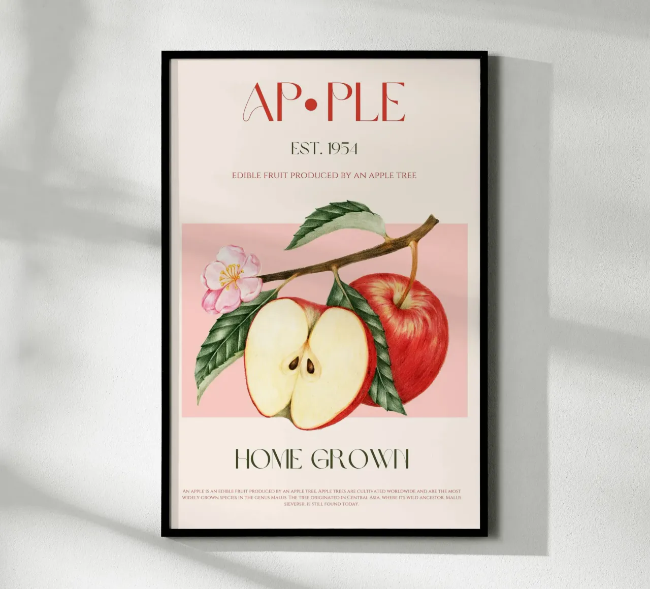 Manzana Fruit Print poster de KOKRPrints