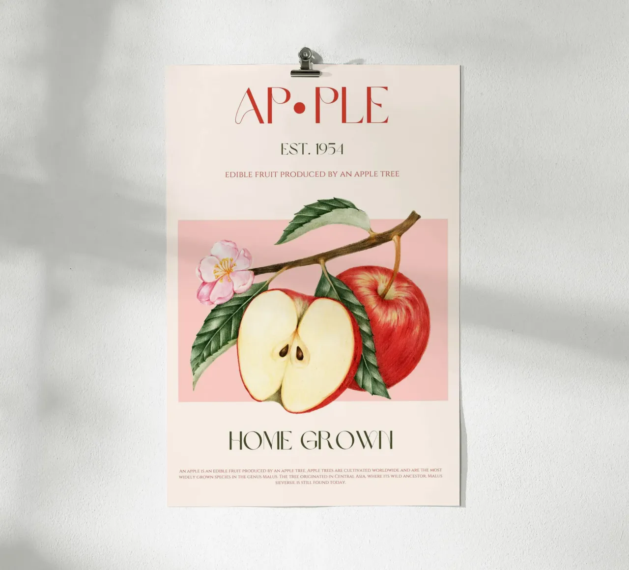 Manzana Fruit Print poster de KOKRPrints