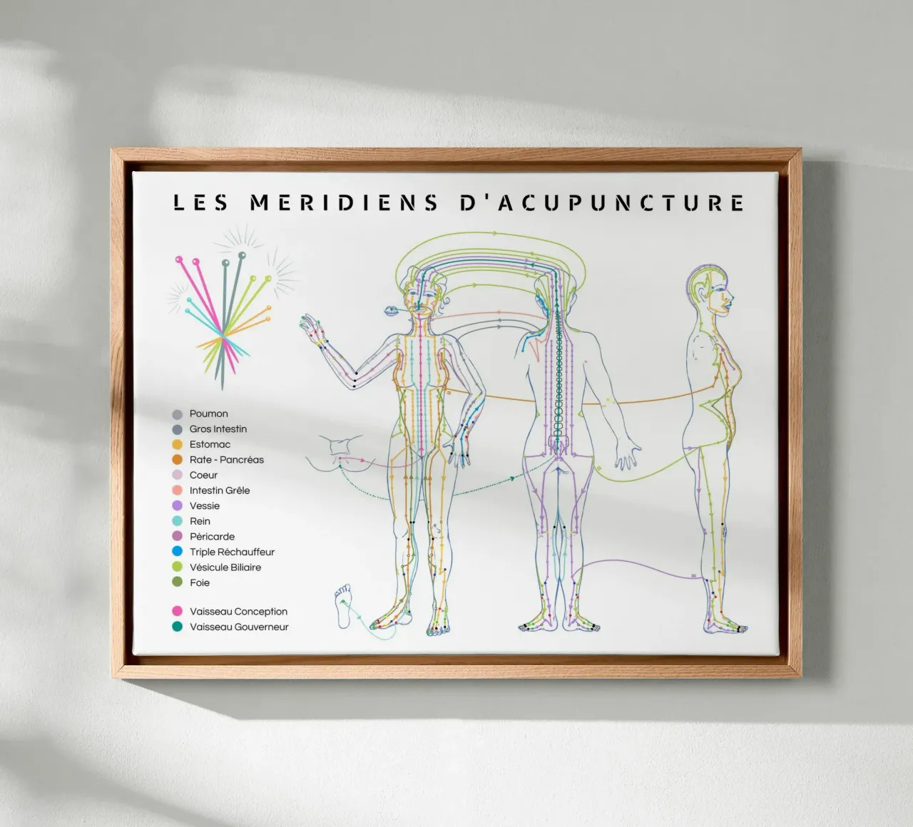 Trajet des méridiens d'acupuncture canvas met Baklijst van Cécile Jeanne