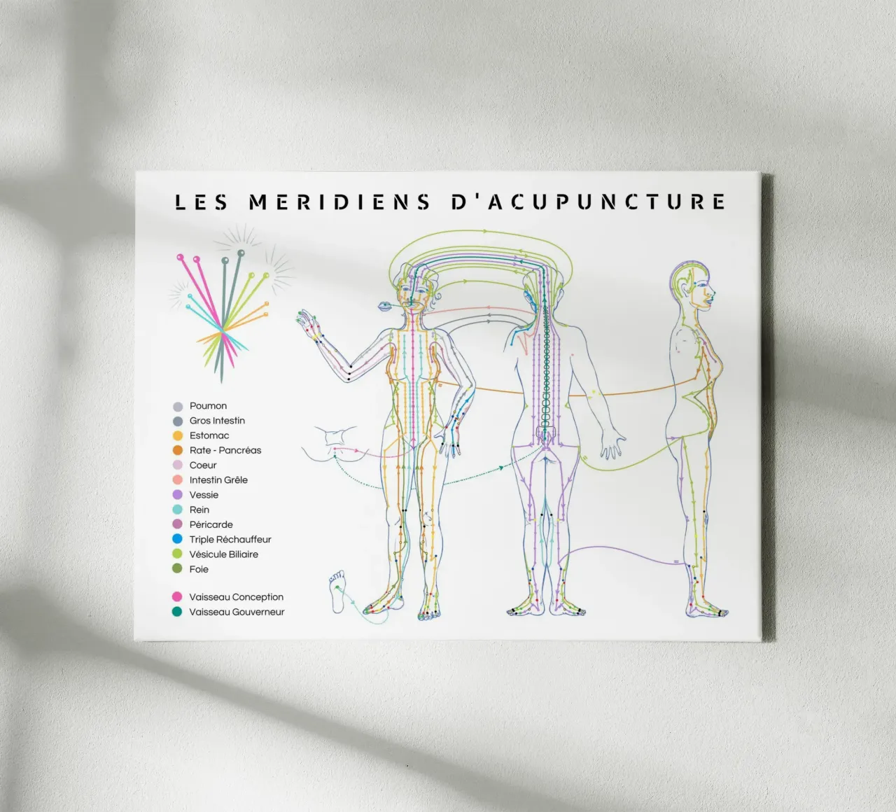 Trajet des méridiens d'acupuncture canvas met Baklijst van Cécile Jeanne
