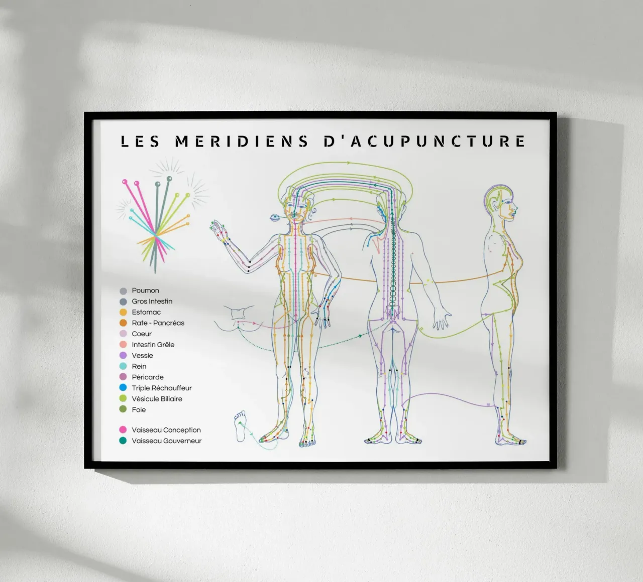 Trajet des méridiens d'acupuncture poster con telaio in alluminio da Cécile Jeanne