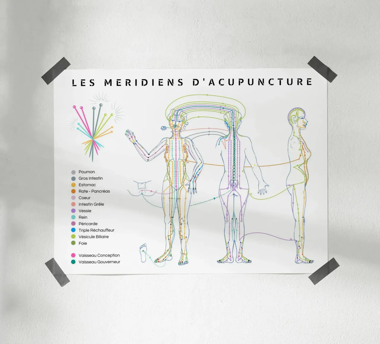 Trajet des méridiens d'acupuncture poster con telaio in alluminio da Cécile Jeanne
