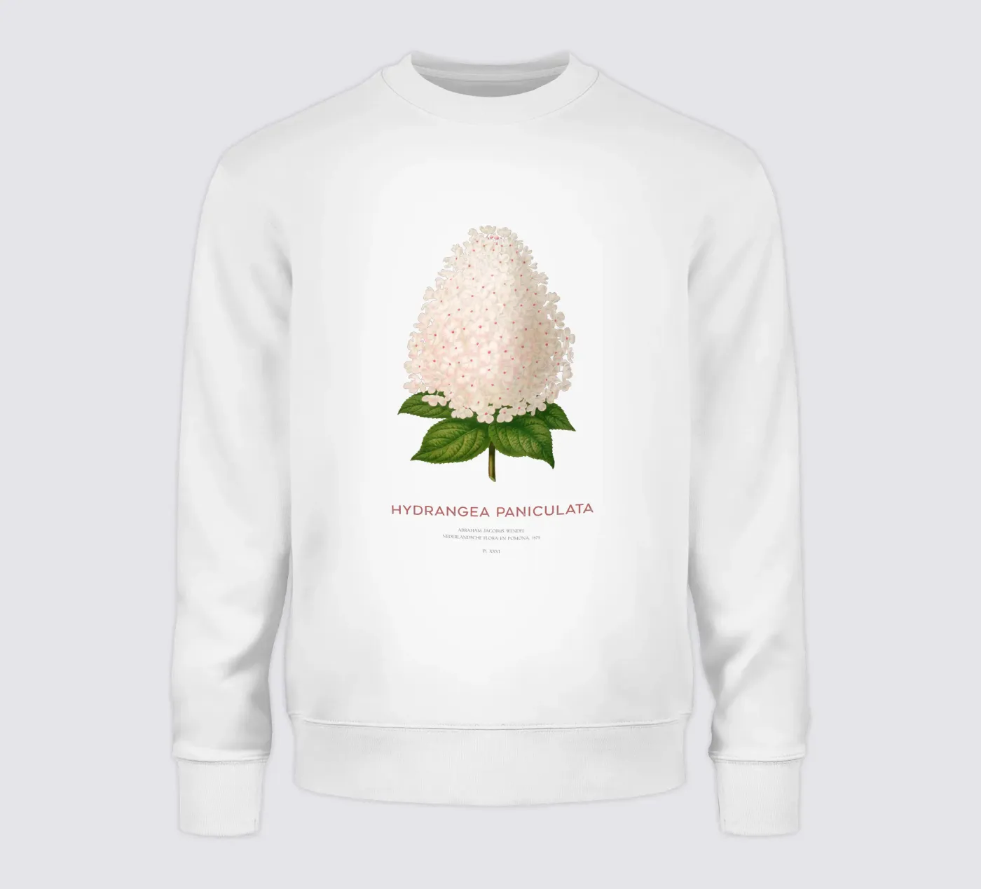 Panicled hydrangea or Hydrangea paniculata sweatshirt by Vintagrafica