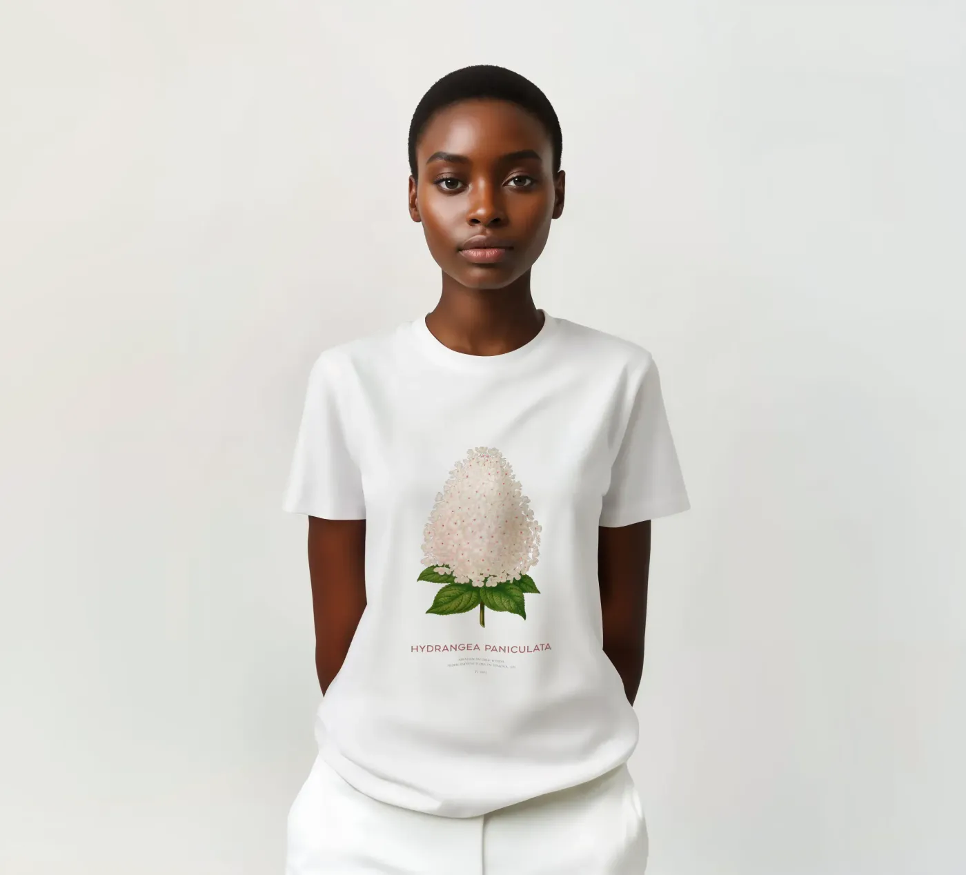 Panicled hydrangea or Hydrangea paniculata t-shirt da Vintagrafica
