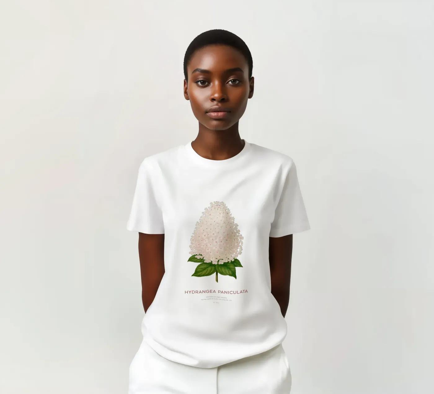 Ortensia paniculata o Hydrangea paniculata t-shirt da Vintagrafica